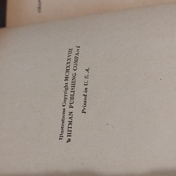 Robin Hood by Howard Pyle, Black Beauty Anna Sewell Whitman Publishing Company - Picture 13 of 14